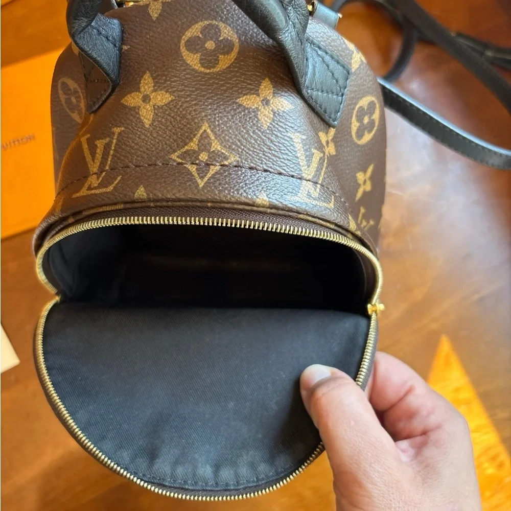 Authentic Louis Vuitton Palm Spings Mini - Picture 10 of 12